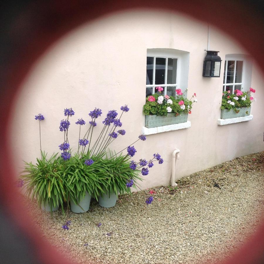 Newton Cottage Porthcawl Exteriör bild