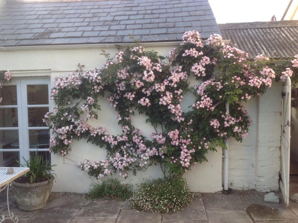 Newton Cottage Porthcawl Exteriör bild